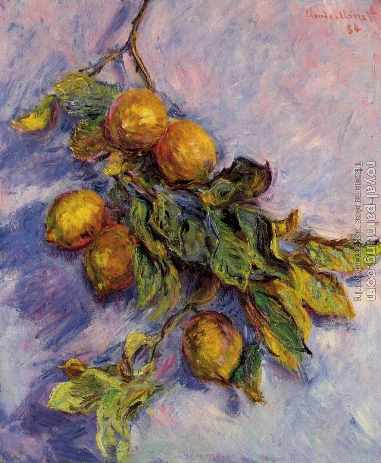 Claude Oscar Monet : Lemons on a Branch